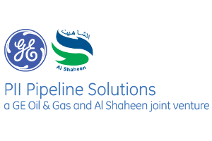PII Pipeline Solutions
